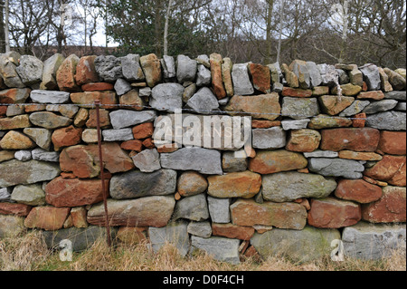 Muro di pietra costruire nel North York Moors con la pietra nome wallers Adrian scavata nella parete. Foto Stock