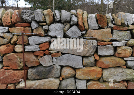 Muro di pietra costruire nel North York Moors con la pietra nome wallers Adrian scavata nella parete. Foto Stock