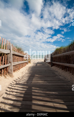 Una spiaggia di Cape Cod con dune di sabbia Foto Stock