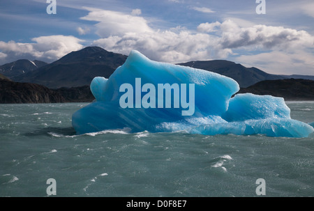 Un blu iceberg galleggianti lontano dal Ghiacciaio Perito Moreno in Patagonia in Argentina Foto Stock