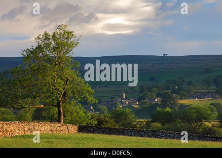 Alba su pascoli Askrigg; Askrigg village, Wensleydale; Yorkshire Dales National Park, England, Regno Unito Foto Stock