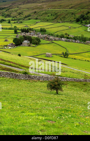 Granai in pietra, prati fioriti, Muker village, Swaledale; Yorkshire Dales National Park, England, Regno Unito Foto Stock