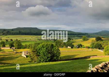 Alba su pascoli Askrigg; Askrigg village, Wensleydale; Yorkshire Dales National Park, England, Regno Unito Foto Stock