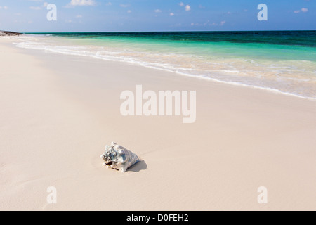 Ocean Beach sulla baia di Bita sul Green Turtle Cay, Bahamas. Foto Stock