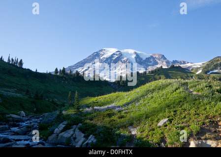 Mt Rainier e Edith Creek, mirto Falls Trail, Mt Rainier National Park, Washington Foto Stock