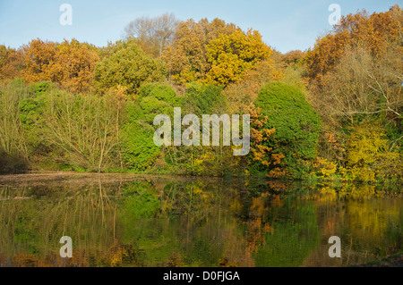 La riflessione di autunno gli alberi su un lago Foto Stock