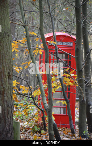 Casella telefono nei boschi Foto Stock