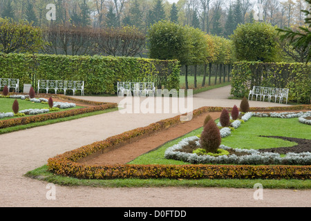 Vicolo in parco di Pushkin, una famosa cittadina nei pressi di San Pietroburgo Foto Stock