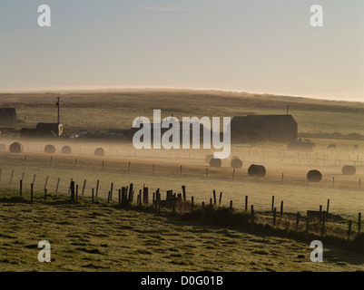 dh Orkney fattoria campo Regno Unito ORPHIR ORKNEY balle fieno mattina presto nebbia inglese autunno rugiada rurale paesaggio nebby agricoltura foggy luce casa Foto Stock