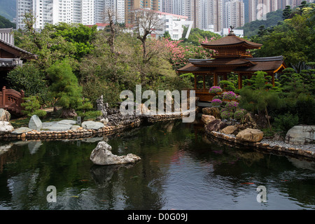 Cina Hong Kong Kowloon, Giardino Nan Lian Foto Stock
