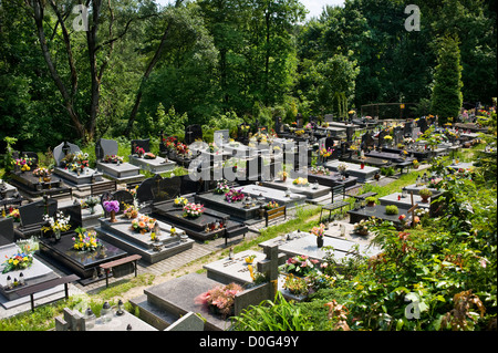 Verdi boschi e le tombe di righe a cementary Foto Stock