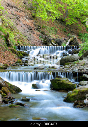 Bella cascata precipita nella foresta di montagna Foto Stock