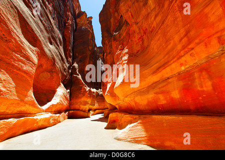 Strada nella gola tra le montagne. Petra, Giordania Foto Stock