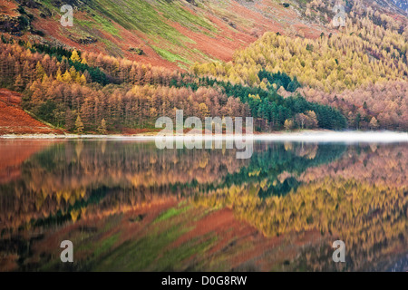 I colori autunnali riflettendo sulla superficie calma del lago Buttermere nel distretto del lago, Cumbria, Regno Unito. Foto Stock