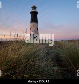 Il Spurn faro ed erba Marram al tramonto, Spurn punto, Humberside, East Yorkshire, Regno Unito Foto Stock