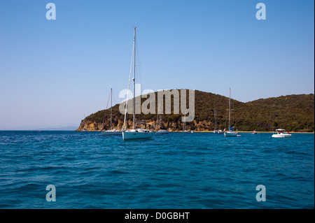 Cala Violina, una delle più belle baie della Toscana Foto Stock