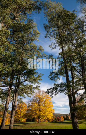 Autunno in Upstate New York, Stati Uniti d'America Foto Stock