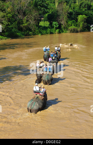 Mae Taeng avventure sul fiume Foto Stock