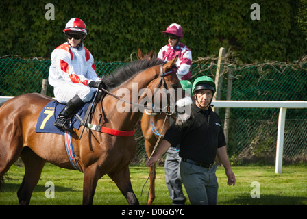 Chester Racecourse, noto come Roodee, più antico corso per le corse di cavalli gare gara equestre del corso Foto Stock