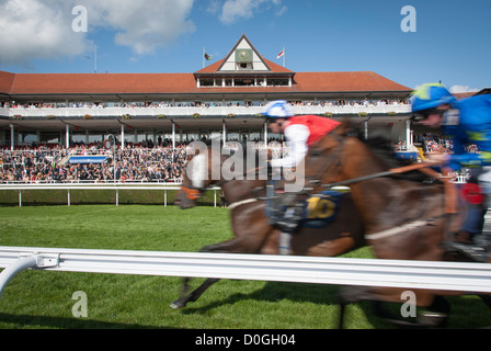 Chester Racecourse, noto come Roodee, più antico corso per le corse di cavalli gare Foto Stock