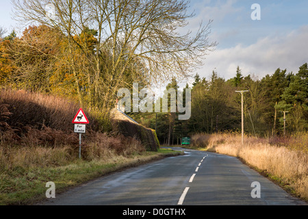 Il cervo segno di avvertimento sulla strada di un paese. Un freddo pomeriggio luminoso nel tardo autunno. Moor Lane, Rosedale, North Yorkshire, Inghilterra Foto Stock