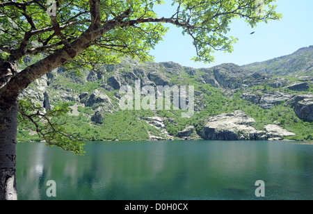 Lac de Melu nella Restonica gole, Corsica Foto Stock