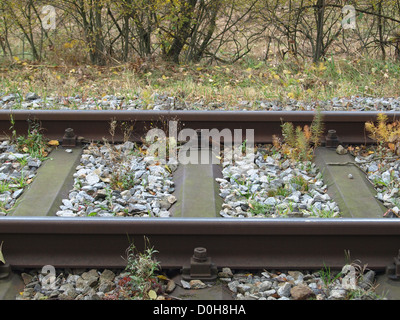Linee ferroviarie / Eisenbahnschienen Foto Stock