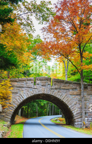 Il triple-arcuata di Stanley Brook ponte in Acadia N.P, Maine, Stati Uniti d'America Foto Stock