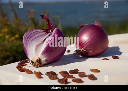 Le cipolle rosse (cipolle di Tropea) e uva passa su un tavolo bianco panno in una giornata di sole sulle rive di Cabras' lago Foto Stock