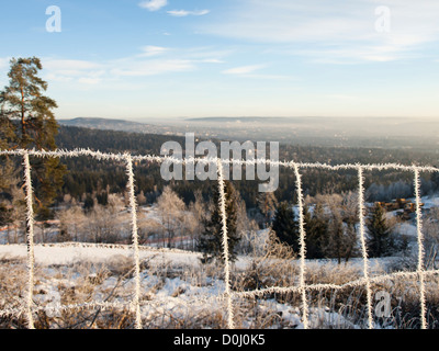 Trasformata per forte gradiente brina sul filo di spintore in campi di primo piano la foresta e la valle di Groruddalen Oslo Norvegia coperti dalla nebbia dietro, metà inverno Foto Stock