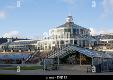 Università di Copenaghen Giardini Botanici, Copenaghen, Danimarca, raffigurato in autunno. Foto Stock