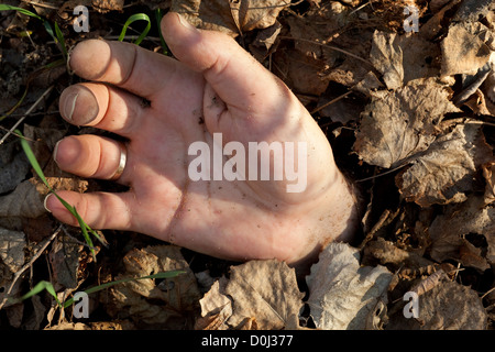Uomo di Palm si trova su un terreno in leaf Foto Stock