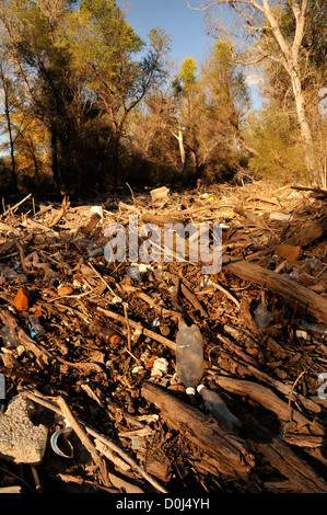 Le bottiglie di plastica, pneumatici e altri detriti intasa la Santa Cruz River, Tubac, Arizona, Stati Uniti d'America, nel deserto di Sonora. Foto Stock