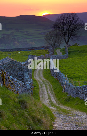 Sunset over Ribblesdale dalla cicatrice di capra Lane sopra il Dales villaggio di Stainforth. Foto Stock