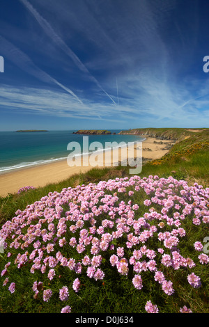 L'ampia spiaggia di sabbia a Marloes dal Pembrokeshire sentiero costiero. Foto Stock