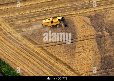 Vista aerea di una mietitrebbia al lavoro. Foto Stock