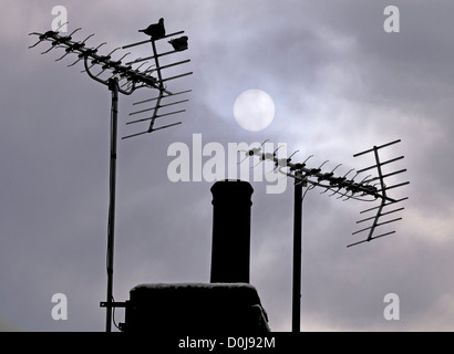 Antenne della televisione stagliano cielo invernale nel villaggio Radley in Oxfordshire. Foto Stock