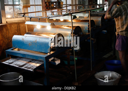 Fabbrica di tè, Munnar india Foto Stock