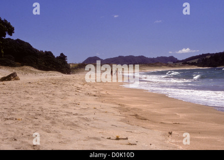 Hot Springs Beach,spiaggia dell' acqua calda,la spiaggia è una destinazione popolare sia per la gente del posto e i turisti in visita a. Nuova Zelanda Foto Stock