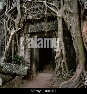 Strangler alberi crescono oltre la porta del tempio di Ta Prohm presso i templi di Angkor nella giungla in Cambogia nel sud-est asiatico. Viaggio in Cambogia Foto Stock