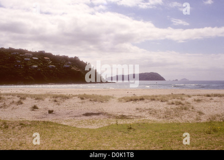 Hot Springs Beach,spiaggia dell' acqua calda,la spiaggia è una destinazione popolare sia per la gente del posto e i turisti in visita a. Nuova Zelanda Foto Stock