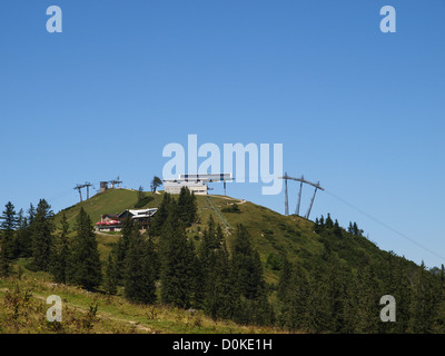 Zwieselalm, Austria, Austria superiore, area di Dachstein, Gosau Foto Stock