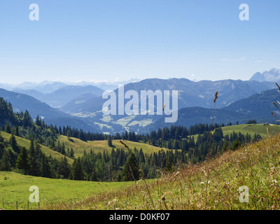 Zwieselalm, Austria, Austria superiore, area di Dachstein, Gosau Foto Stock