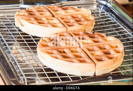 Appena cotto Cialde rotonde sul vassoio Foto Stock