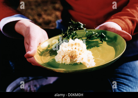 Mizuna insalata con tte-de-moine rosette Foto Stock