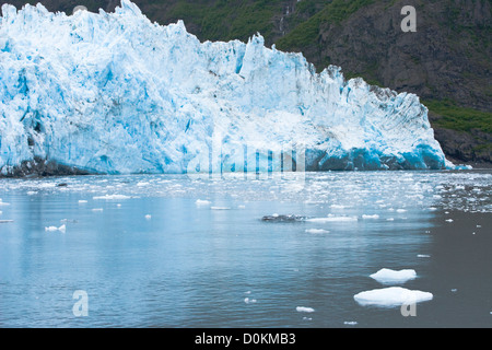 Il bordo dell'Alaskan sorpresa ghiacciaio con partorito il ghiaccio galleggiante in Prince William Sound. Foto Stock