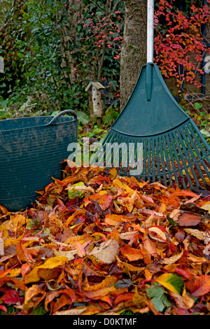 Primo piano di mucchio di foglie d'autunno caduto sul prato Erba con rastrello in giardino Inghilterra UK Regno Unito GB Gran Bretagna Foto Stock