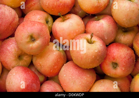 Organico fresche Mele rosse mucchio di fresche e mature mele rosse a un mercato di strada Foto Stock