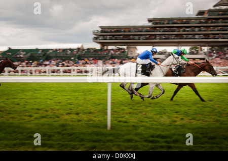 Corse di cavalli al Royal Ascot. Foto Stock