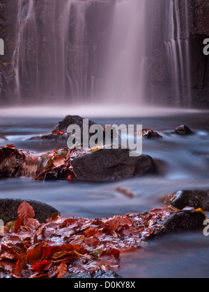 Che scorre veloce cascata di oltre le rocce coperte in foglie di autunno Foto Stock